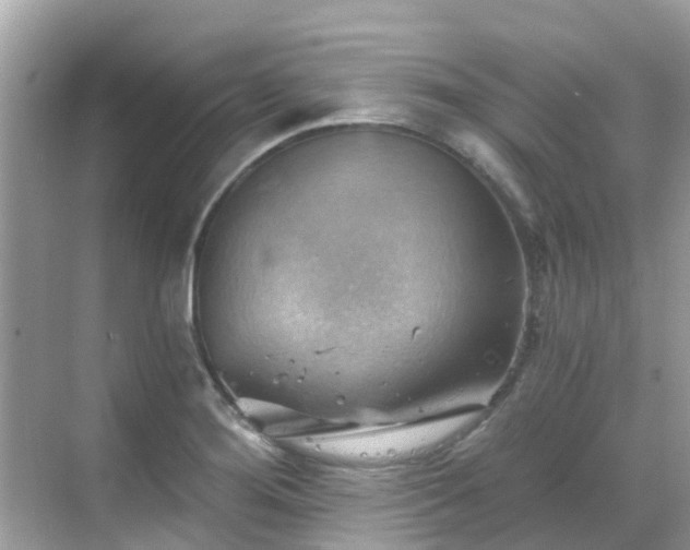 X0000068821276200605081136