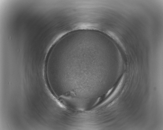 X0000068821277200605081136