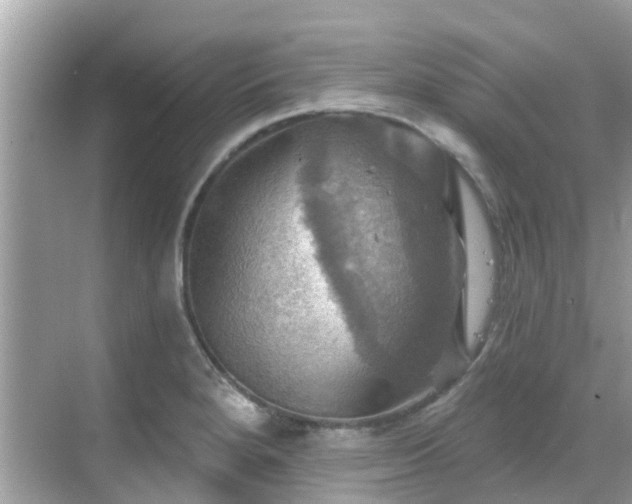 X0000068821280200605081136