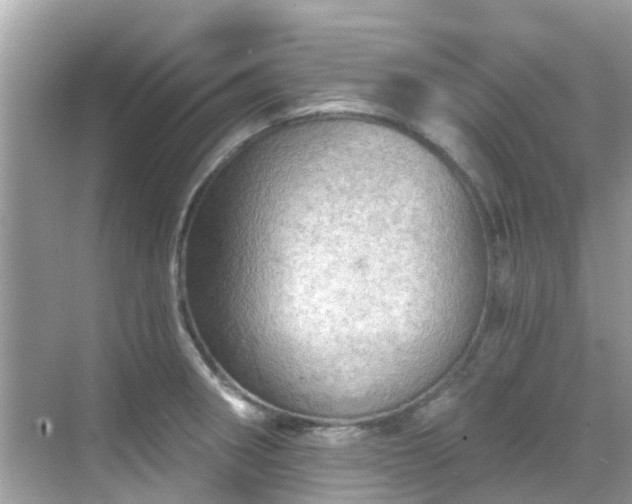 X0000068821282200605081136