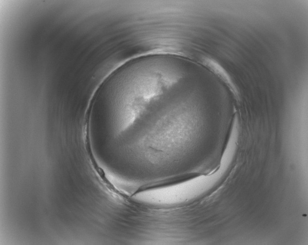 X0000068821284200605081136