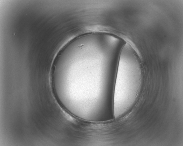 X0000068821285200605081136