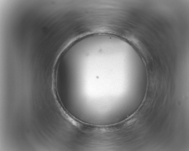 X0000068821286200605081136