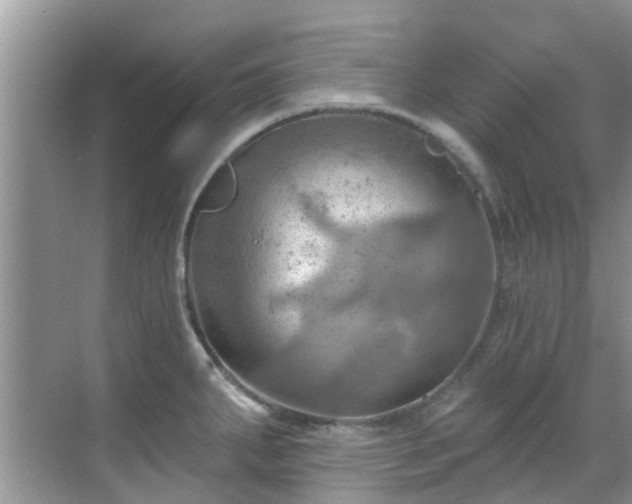 X0000068821287200605081136