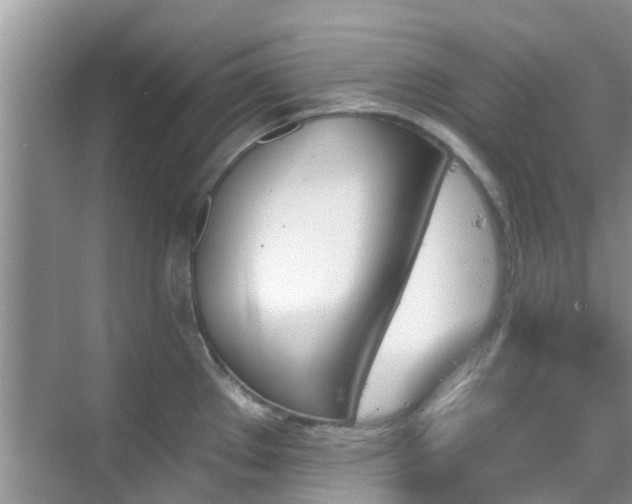 X0000068821289200605081136