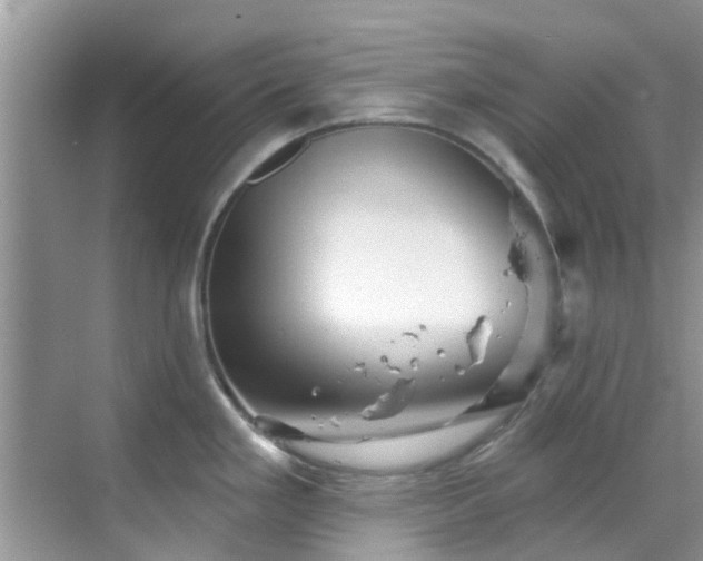 X0000068821293200605081135