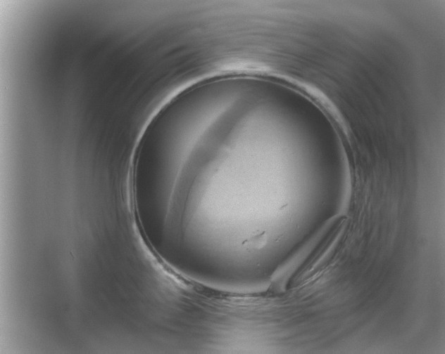 X0000068821295200605081135