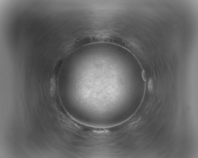 X0000068821299200605081135