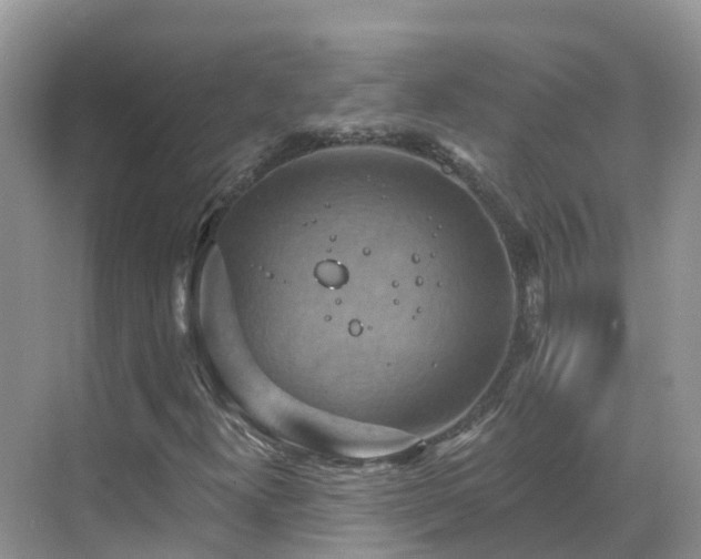 X0000068821300200605081135