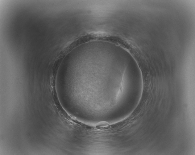 X0000068821301200605081135