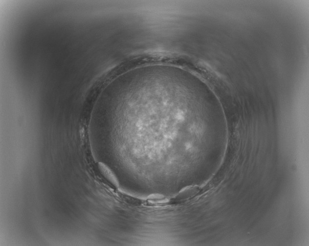 X0000068821302200605081135