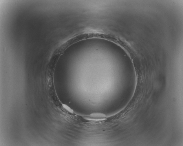 X0000068821303200605081135