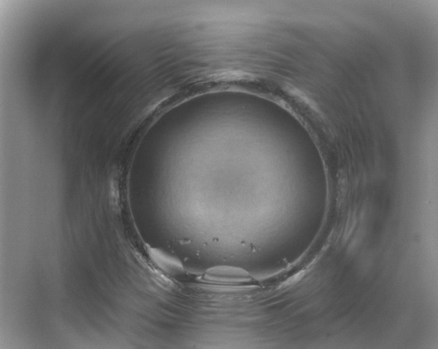 X0000068821305200605081135