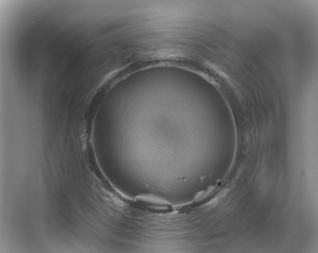 X0000068821306200605081135