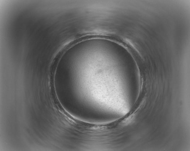 X0000068821307200605081135