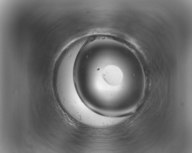 X0000068821312200605081135