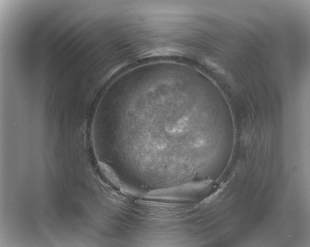 X0000068821313200605081135