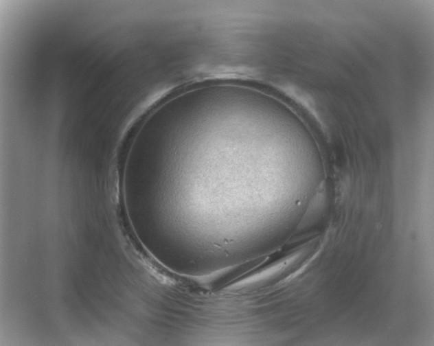 X0000068821317200605081135