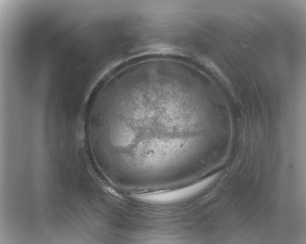 X0000068821318200605081135