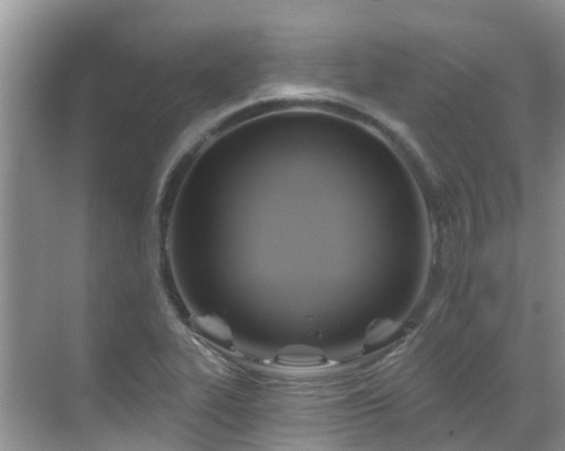 X0000068821319200605081135