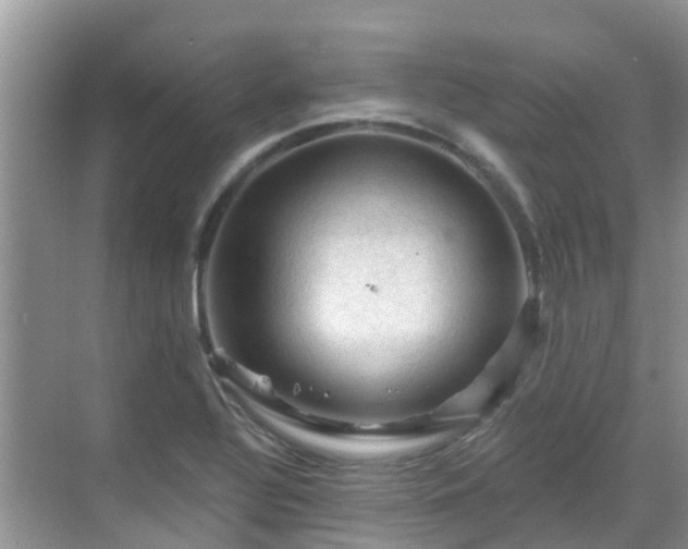 X0000068821320200605081135