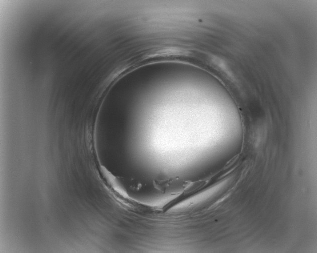 X0000068821321200605081135