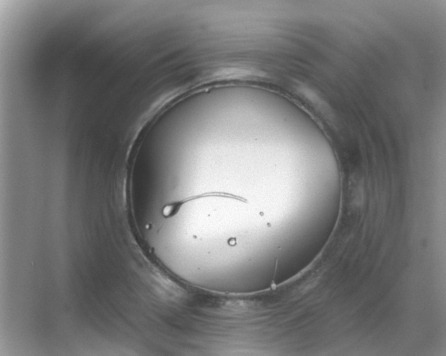 X0000068821322200605081135