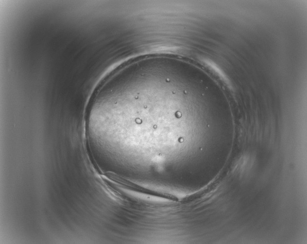 X0000068821324200605081135