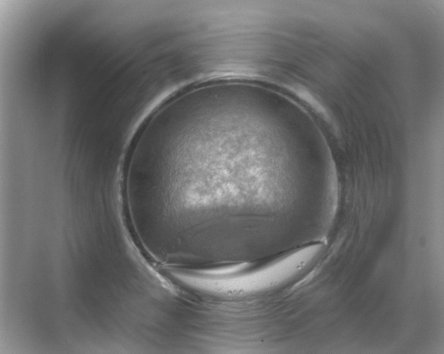 X0000068821325200605081135