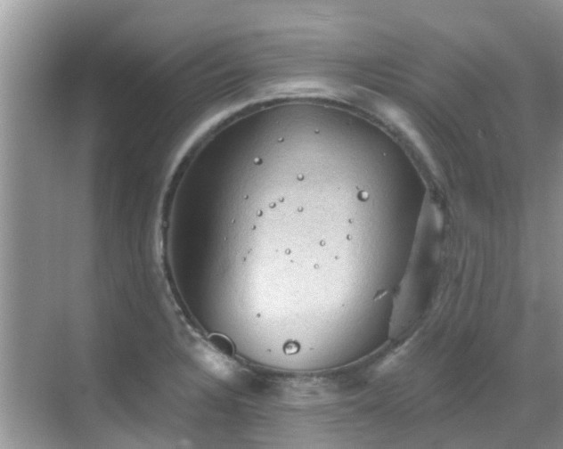 X0000068821328200605081135