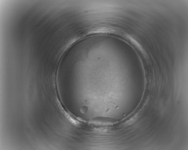 X0000068821329200605081135