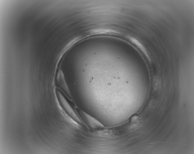 X0000068821330200605081135