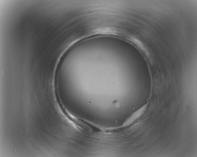 X0000068821331200605081135