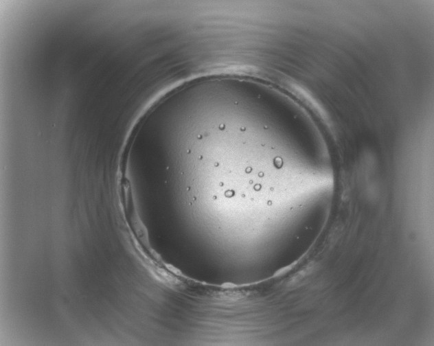 X0000068821332200605081135