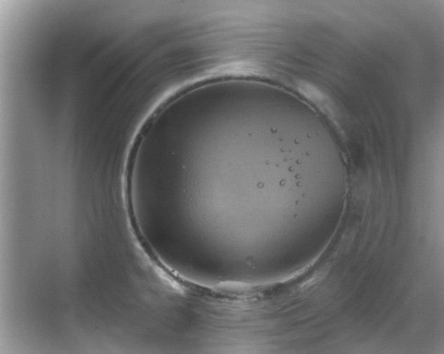 X0000068821334200605081135