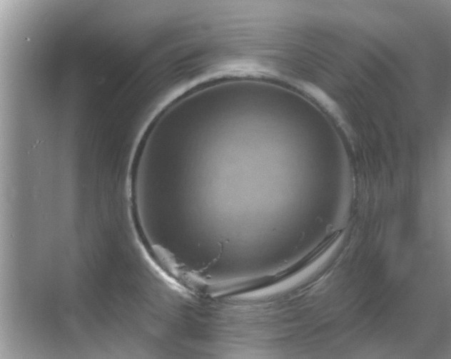 X0000068821335200605081135