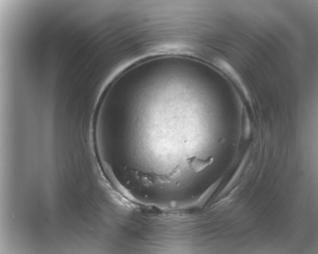 X0000068821336200605081135