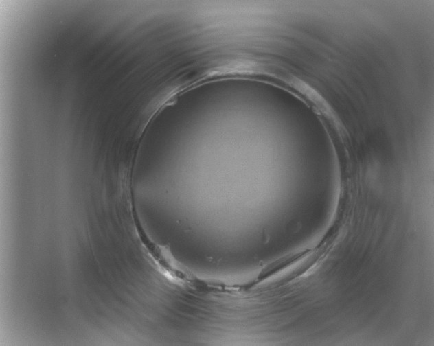 X0000068821337200605081135