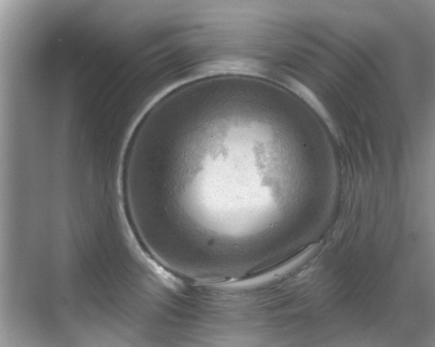 X0000068821339200605081135