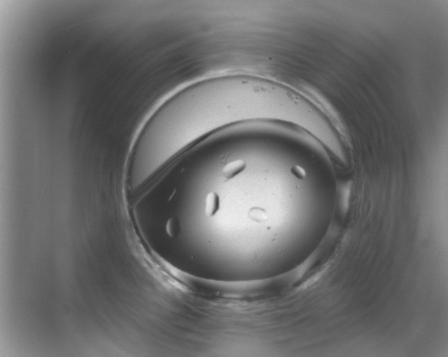 X0000068821340200605081135