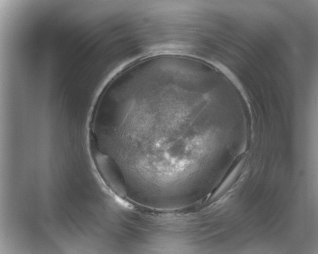 X0000068821341200605081135