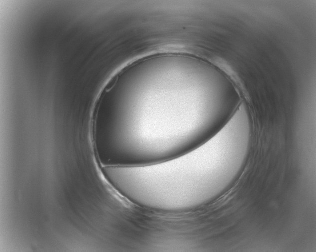 X0000068821342200605081135