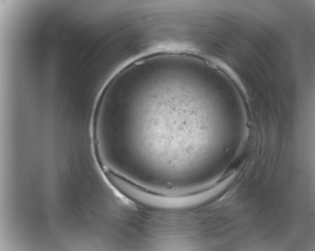 X0000068821343200605081135