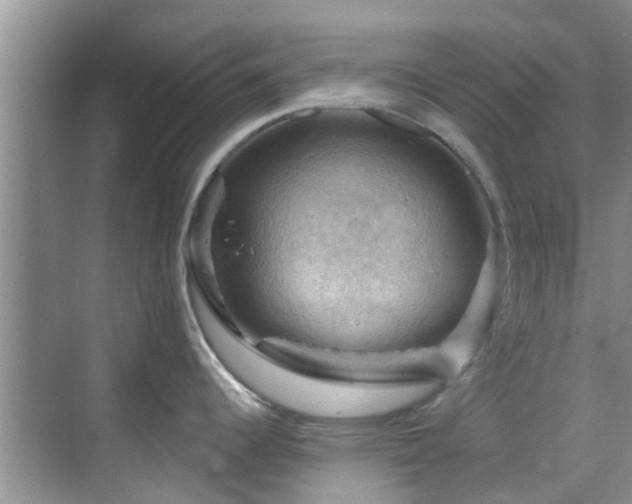 X0000068821344200605081135