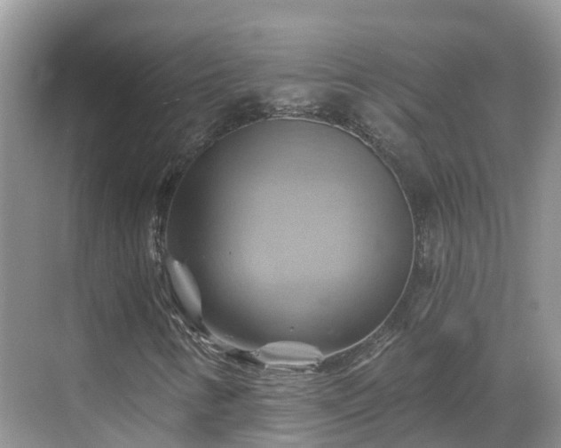 X0000068821346200605081135