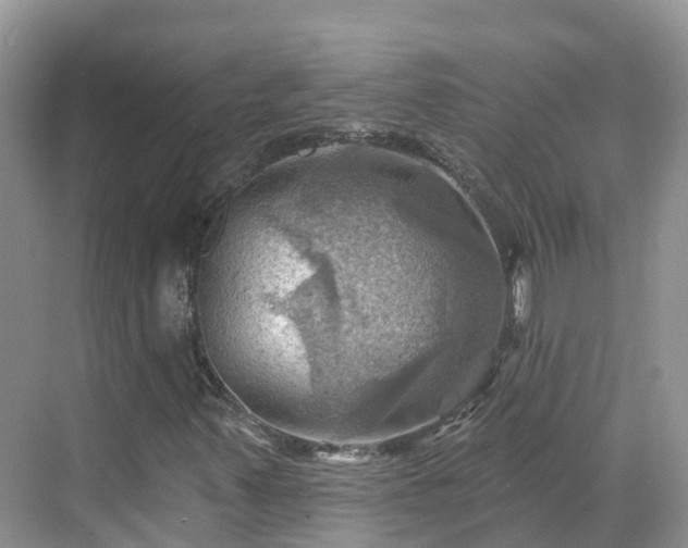 X0000068821347200605081135