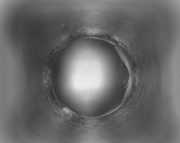 X0000068821349200605081135