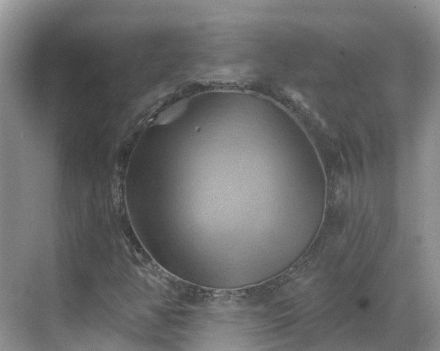 X0000068821350200605081135