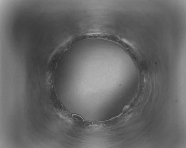 X0000068821351200605081135