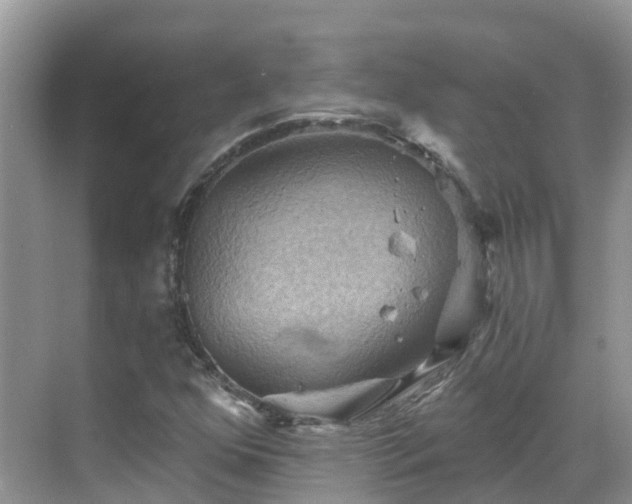 X0000068821352200605081135